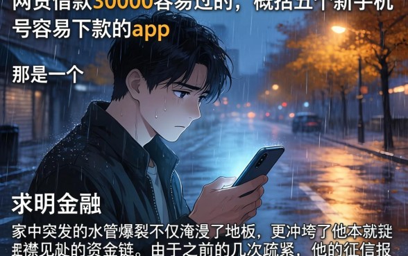 网贷借款30000容易过的，概括五个新手机号容易下款的app