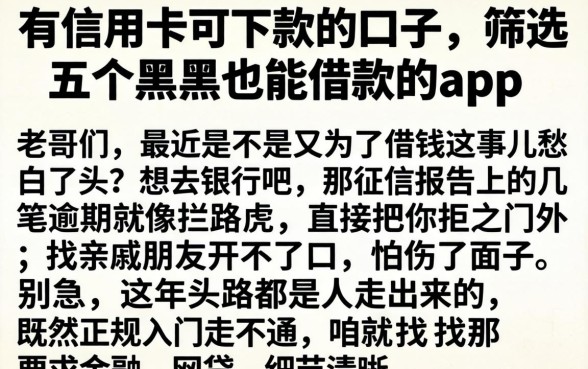 有信用卡可下款的口子，筛选五个黑户也能借款的app