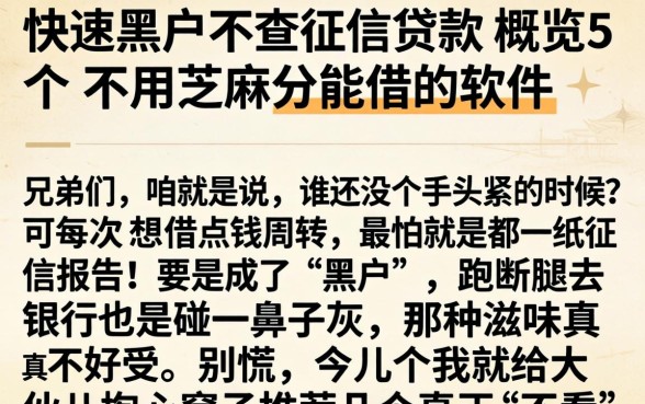快速黑户不查征信贷款，概览5个不用芝麻分能借的软件