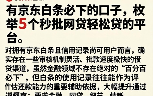 有京东白条必下的口子，枚举5个秒批网贷轻松贷的平台