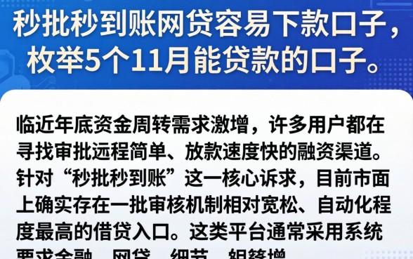 秒批秒到账网贷容易下款的口子，枚举5个11月能贷款的口子