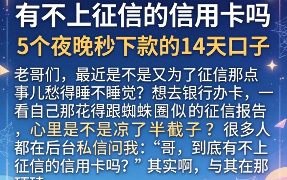 有不上征信的信用卡吗，条列5个夜间秒下款的14天口子