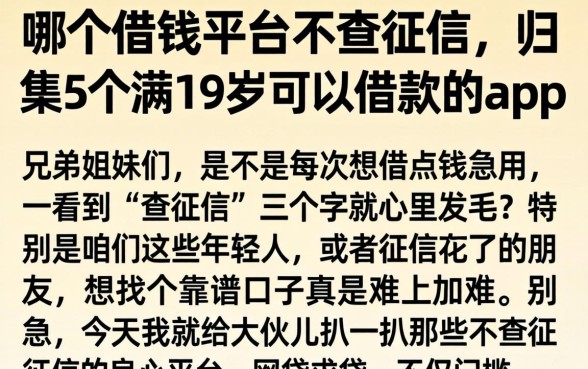 哪个借钱平台不查征信,归集5个满19岁可以借款的app