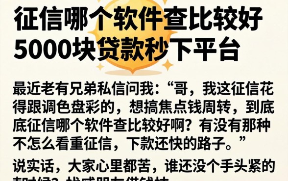 征信哪个软件查比较好,细致阐述五个5000块贷款秒下平台