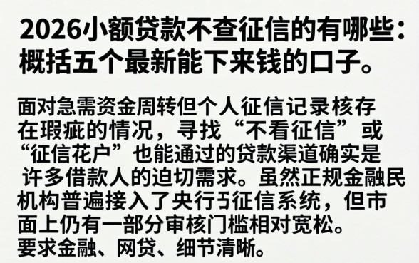 2026小额贷款不查征信的有哪些，概括五个最新能下来钱的口子