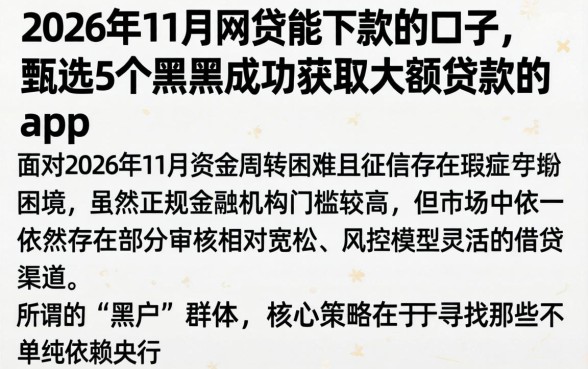 2026年11月网贷能下款的口子，甄选5个黑户成功获取大额贷款的app