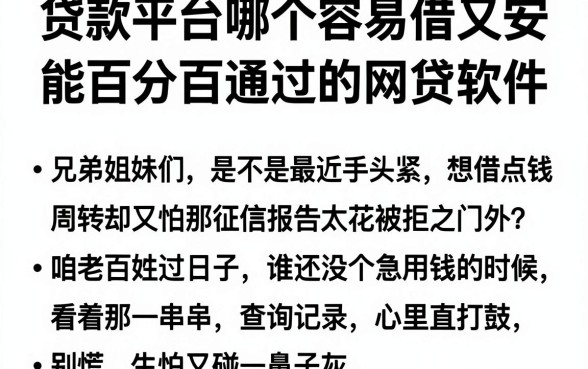 贷款平台哪个容易借又安,规整五个能百分百通过的网贷软件
