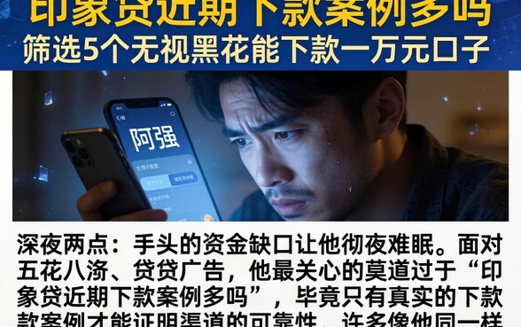 印象贷近期下款案例多吗,筛选5个无视黑花能下款一万元口子