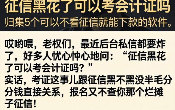 征信黑花了可以考会计证吗,归集5个可以不看征信就能下款的软件