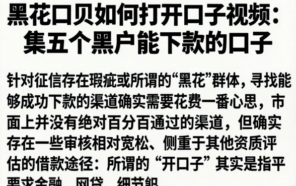 黑花口贝如何打开口子视频,归集五个黑户能下款的口子