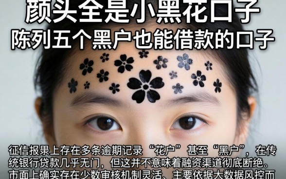 额头全是小黑花口子，陈列五个黑户也能借款的口子