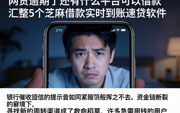 网贷逾期了还有什么平台可以借款,汇整5个芝麻借款实时到账速借软件