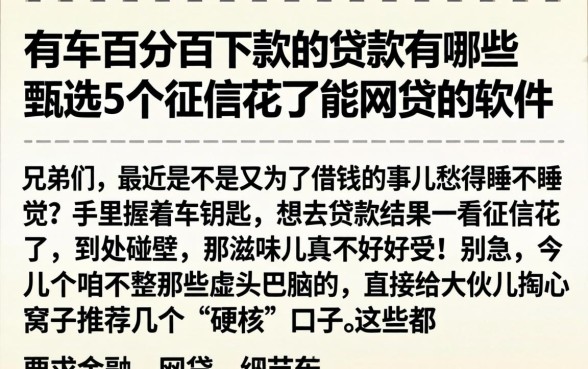 有车百分百下款的贷款有哪些，甄选5个征信花了能网贷的软件