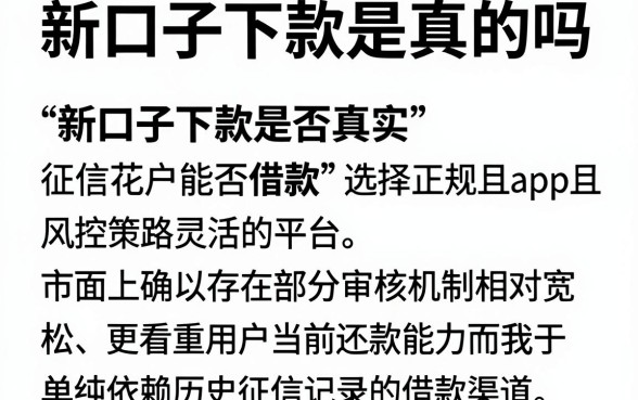 新口子下款是真的吗，概览五个征信花了可以借钱的网贷app