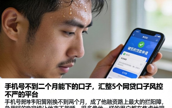 手机号不到二个月能下的口子，汇整5个网贷口子风控不严的平台