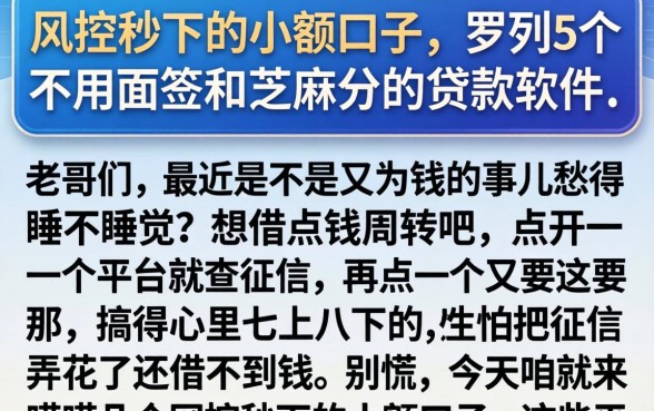 风控秒下的小额口子，罗列5个不用面签和芝麻分的贷款软件