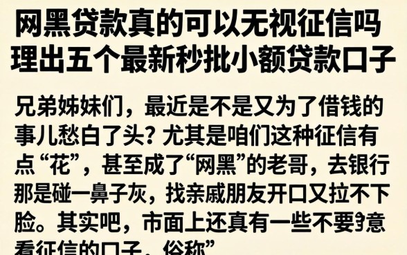 网黑贷款真的可以无视征信吗，理出五个最新秒批小额贷款口子