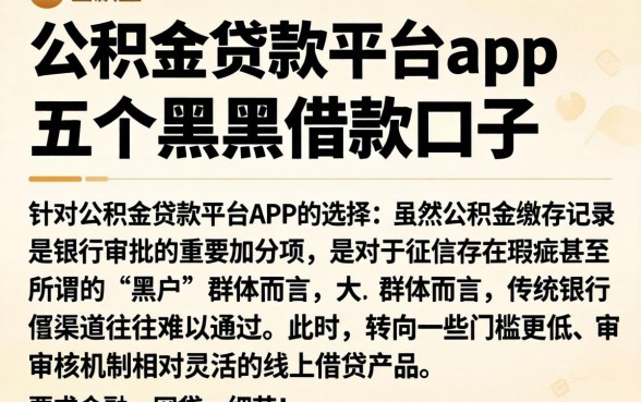 公积金贷款平台app,细致阐述五个黑户借款口子