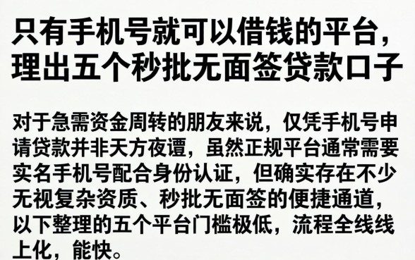 只有手机号就可以借钱的平台，理出五个秒批无面签贷款口子