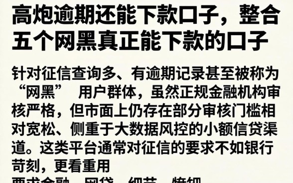 高炮逾期还能下款口子,整合五个网黑真正能下款的口子