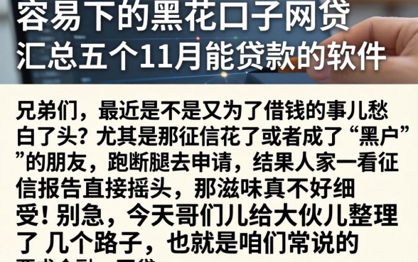 容易下的黑花口子网贷，汇总五个11月能贷款的软件