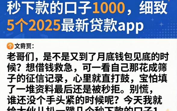 秒下款的口子1000,细致阐述5个2025最新贷款app