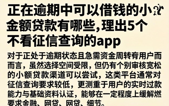 正在逾期中可以借钱的小额贷款有哪些,理出5个不看征信查询的app