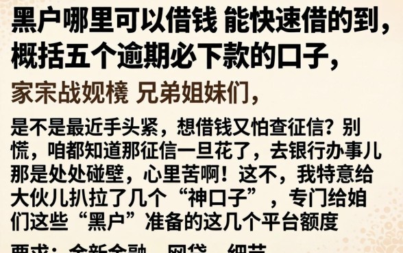 黑户哪里可以借钱 能快速借的到,概括五个逾期必下款的口子