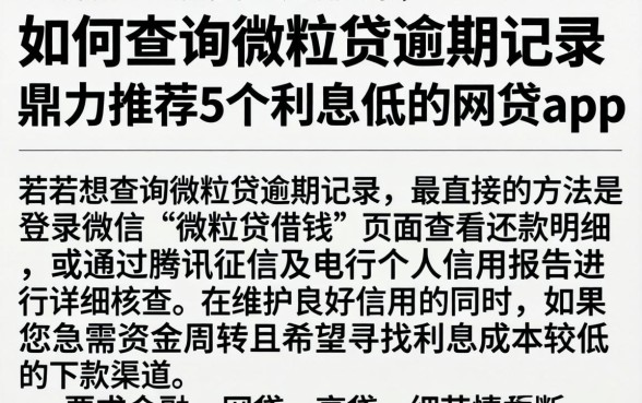 如何查询微粒贷逾期记录，鼎力推荐5个利息低的网贷app