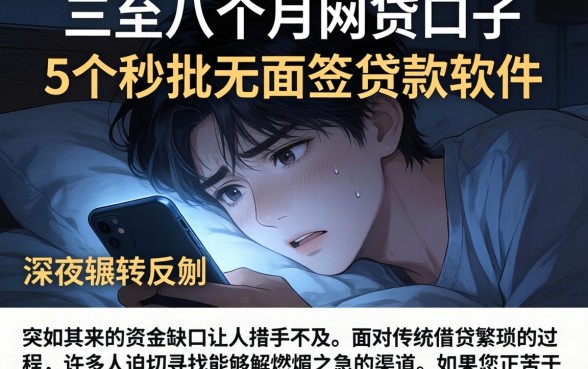 三至六个月的网贷口子，概括5个秒批无面签贷款软件