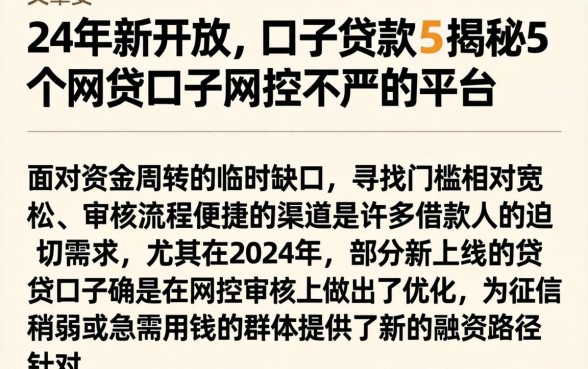 24年新开放的口子贷款，揭秘5个网贷口子风控不严的平台
