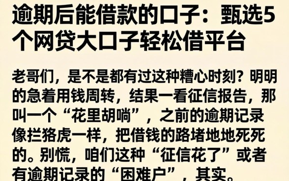 逾期后能借款的口子，甄选5个网贷大口子轻松借平台