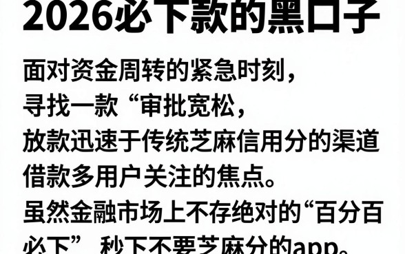 2026必下款的黑口子,详细阐述五个金融创新秒下不要芝麻分的app