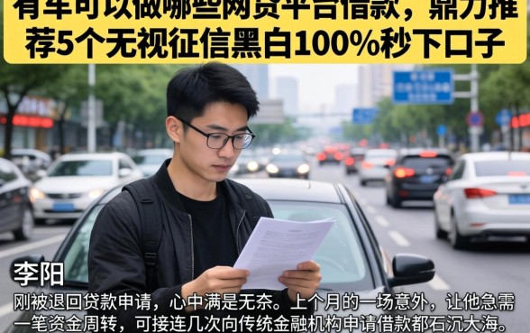 有车可以做哪些网贷平台借款，鼎力推荐5个无视征信黑白100%秒下口子