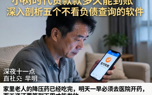 小树时代贷款多久能到账,深入剖析五个不看负债查询的软件