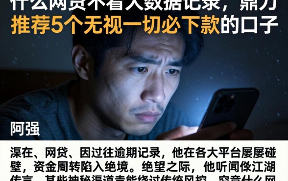 什么网贷不看大数据记录,鼎力推荐5个无视一切必下款的口子