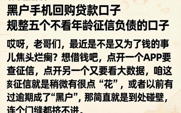 黑户手机回购贷款口子,规整五个不看年龄征信负债的口子