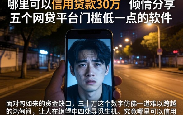 哪里可以信用贷款30万，倾情分享五个网贷平台门槛低一点的软件