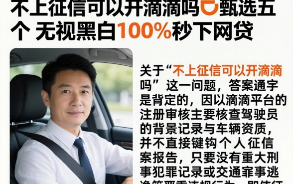 不上征信可以开滴滴吗,甄选五个无视黑白100%秒下网贷