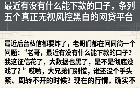 最近有没有什么能下款的口子，条列五个真正无视风控黑白的网贷平台
