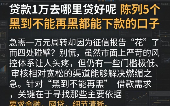 贷款1万去哪里贷好呢，陈列5个黑到不能再黑都能下款的口子