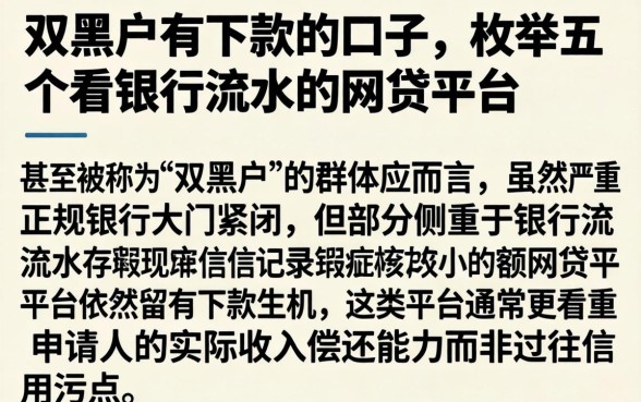 双黑户有下款的口子，枚举五个看银行流水的网贷平台