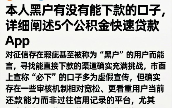 本人黑户有没有能下款的口子,详细阐述5个公积金快速贷款app
