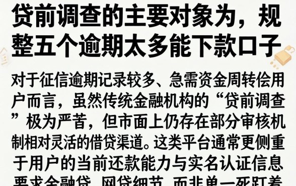 贷前调查的主要对象为，规整五个逾期太多能下款口子