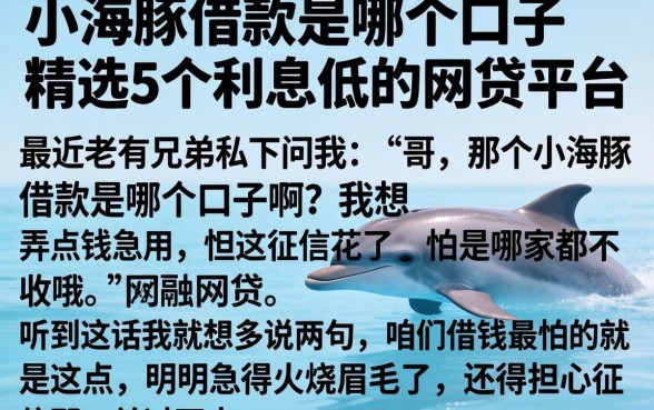 小海豚借款是哪个口子，精选5个利息低的网贷平台