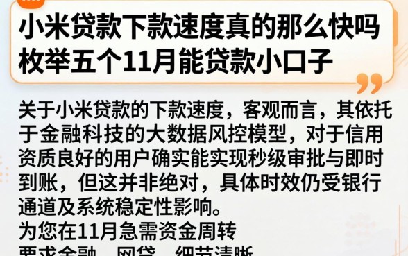 小米贷款下款速度真的那么快吗,枚举五个11月能贷款的口子