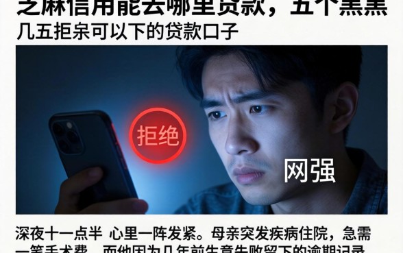 芝麻信用能去哪里贷款，详细阐述五个黑户可以下的贷款口子