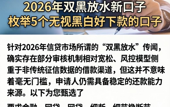 2026年双黑放水新口子，枚举5个无视黑白好下款的口子