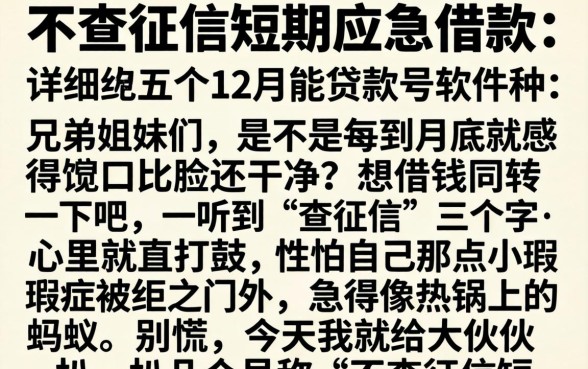 不查征信短期应急借款，详细阐述五个12月能贷款的软件