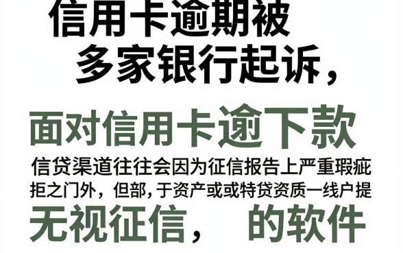 信用卡逾期被多家银行起诉，遴选五个快速下款无视征信的软件